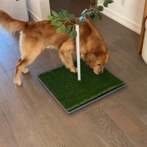 Read more about the article Artificial Grass Puppy Pee Pad