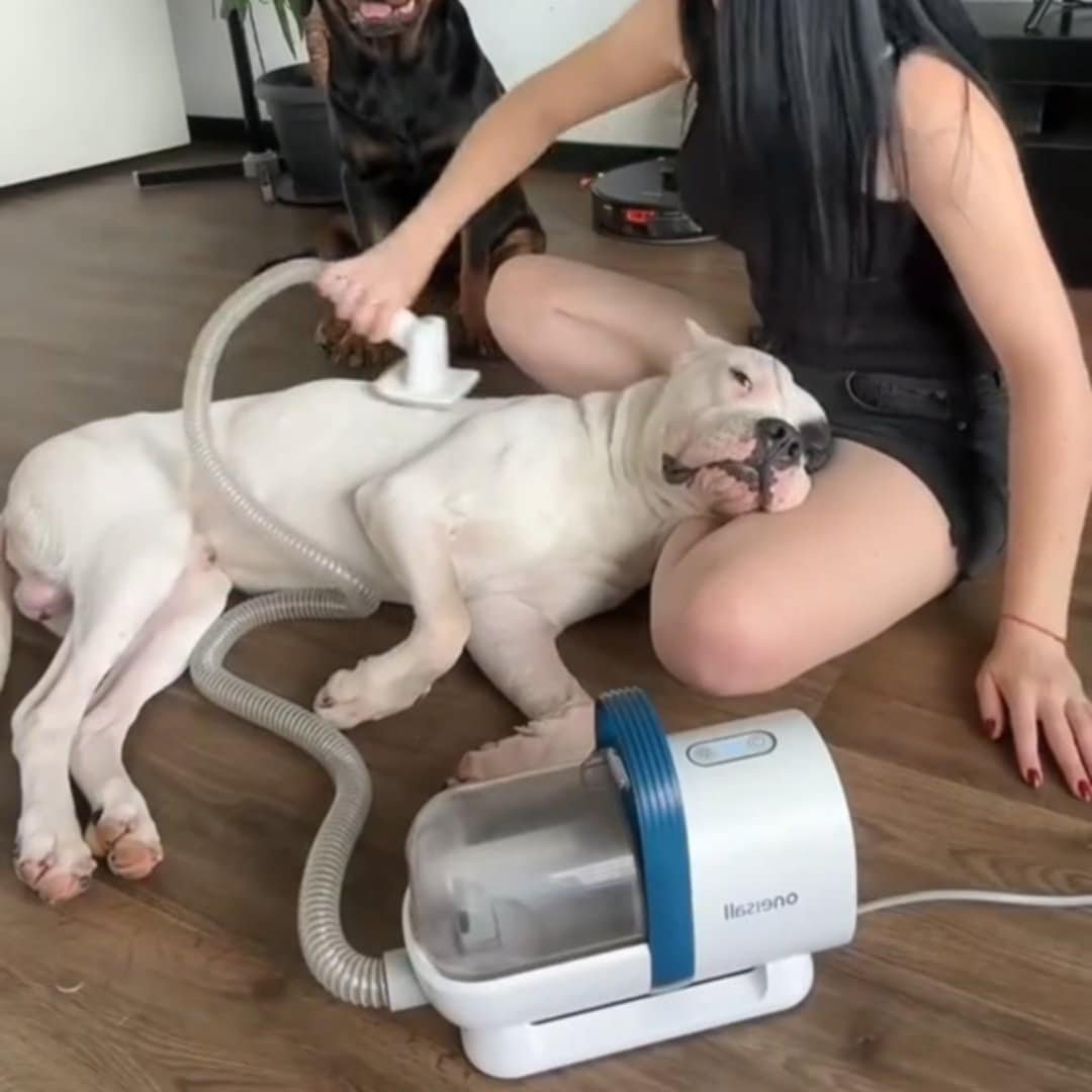 Read more about the article Pet Grooming Vacuum with Clipper