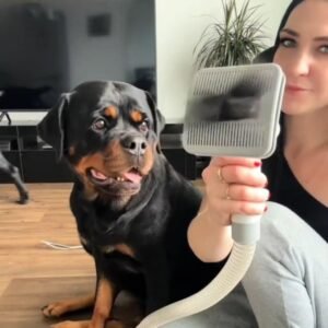 Read more about the article Oneisall Dog Hair Vacuum & Grooming Kit