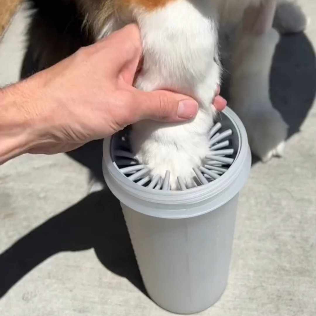 Read more about the article Dog Paw Cleaner
