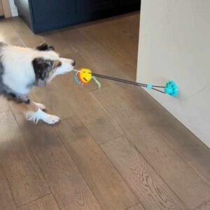 Read more about the article Dog Toys for Aggressive Chewers