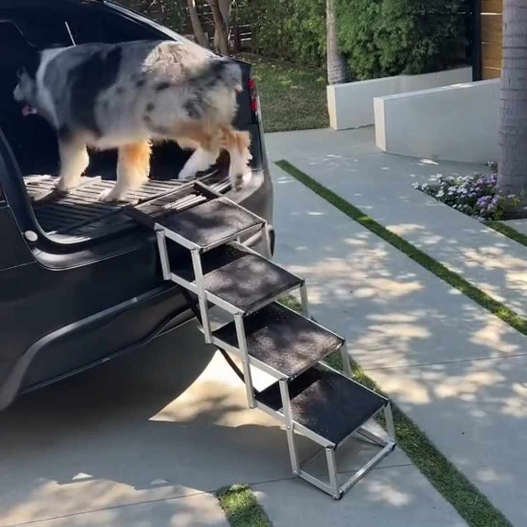 Read more about the article Foldable Dog Stairs