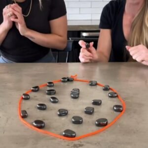 Read more about the article Magnetic Chess Game