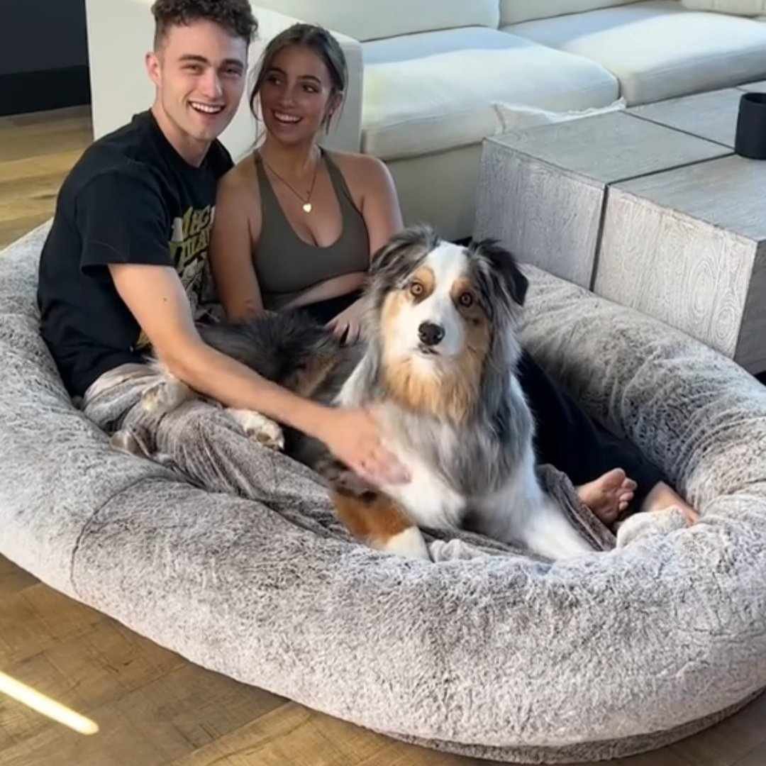 Read more about the article Plufl The Human Dog Bed