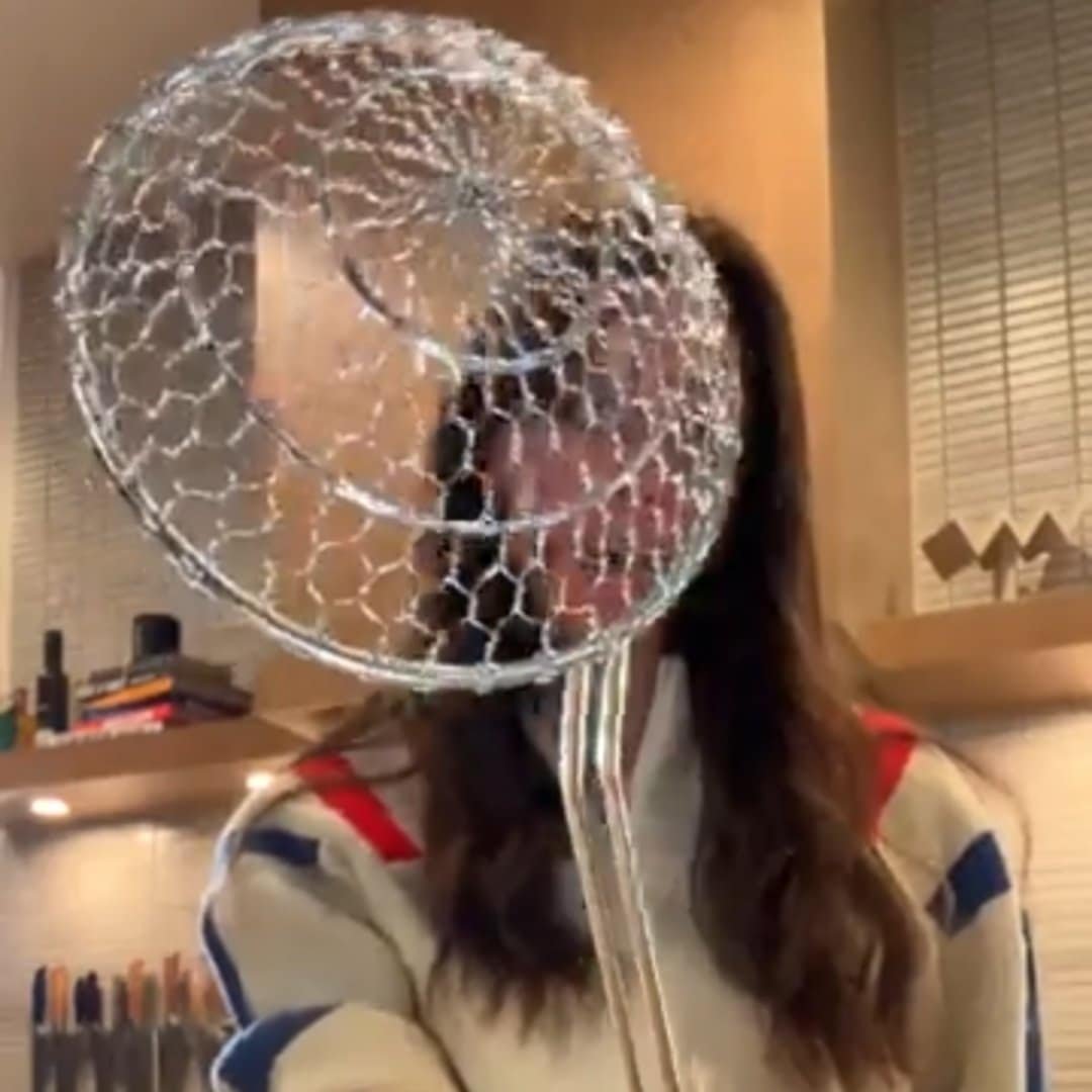 Read more about the article Stainless Steel Spider Strainer