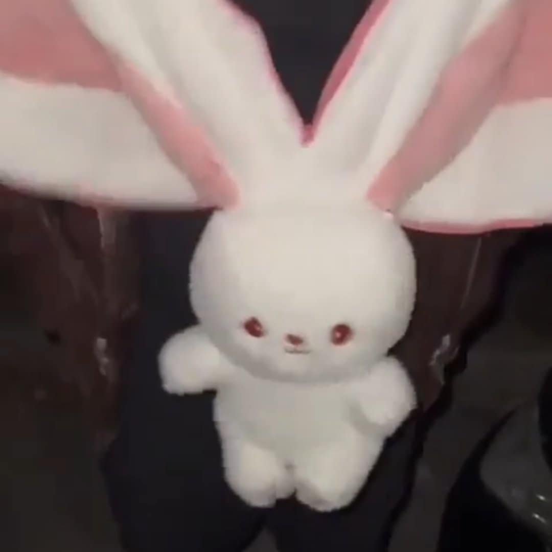 Read more about the article Reversible Bunny Stuffed Animal