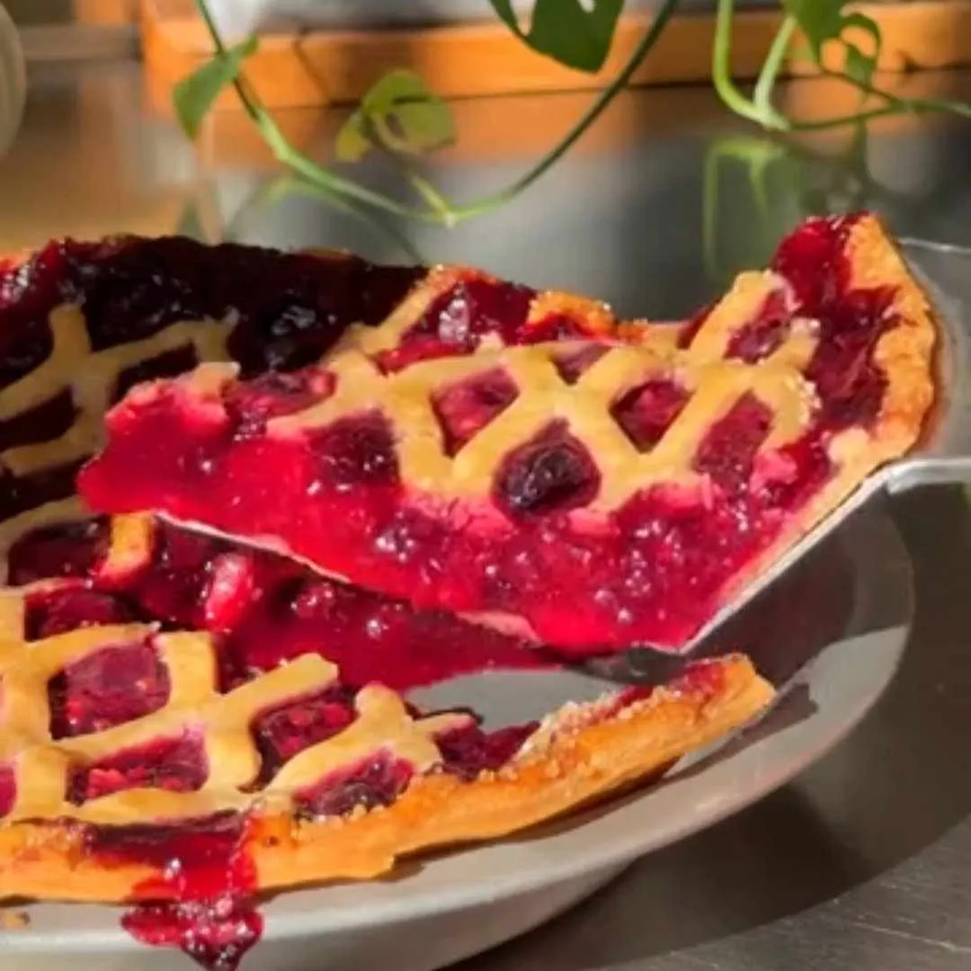 Read more about the article Fox Run First Spatula Pie