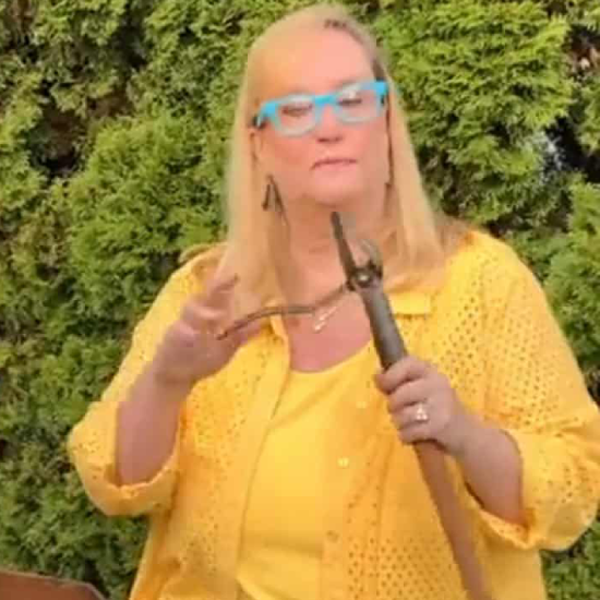 Read more about the article Grampa’s Weeder