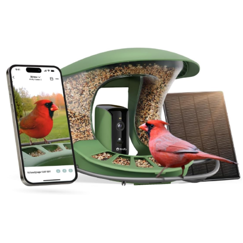Read more about the article Birdfy 2 Smart Bird Feeder with Camera