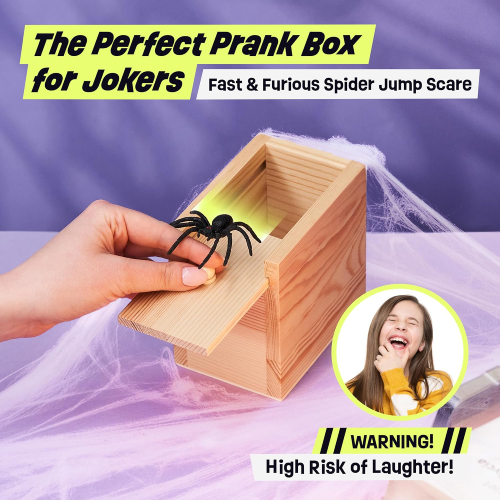 Read more about the article Spider Prank Box